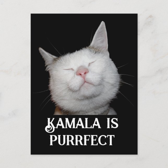Kamala is Purrfect  Postcard (Front)