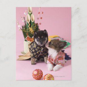 Kanagawa, Honshu, Japan Postcard