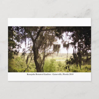 Kanapaha Gardens - Gainesville 009 Postcard
