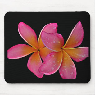 Kaneohe Sunburst Plumeria Mouse Pad