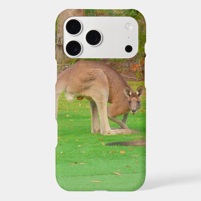 kangaroo (Back)