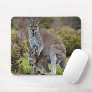 Kangaroo and Joey Mouse Pad