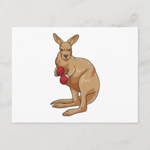 Kangaroo as Boxer with Boxing gloves Postcard