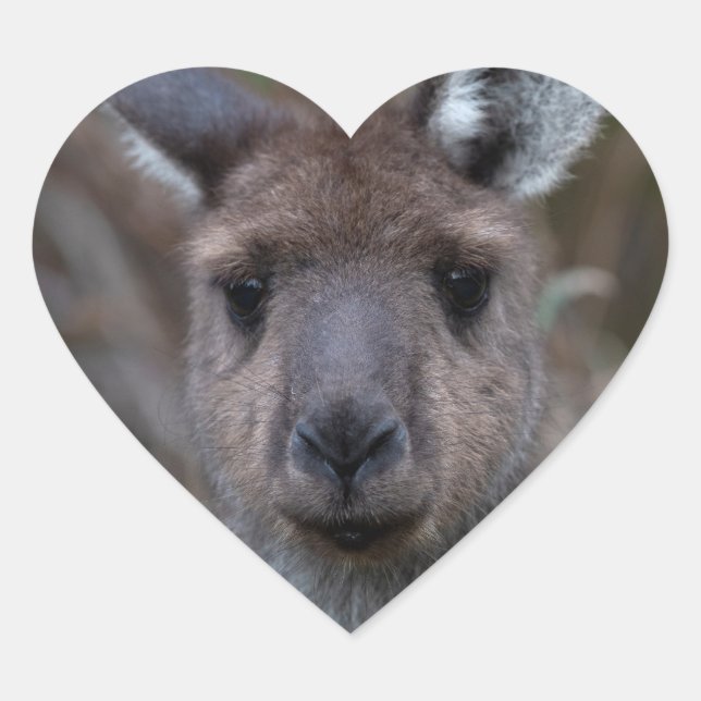 Kangaroo Australia Heart Sticker (Front)