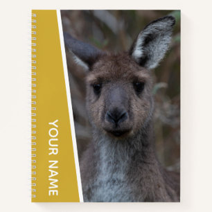 Kangaroo Baby Joey Portrait Australia, Gold Notebook
