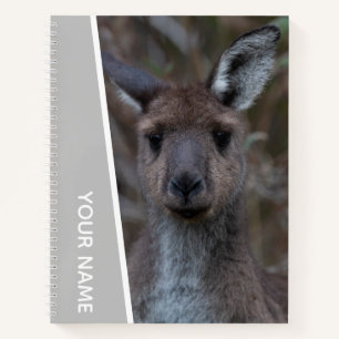 Kangaroo Baby Joey Portrait Australia, Silver Notebook