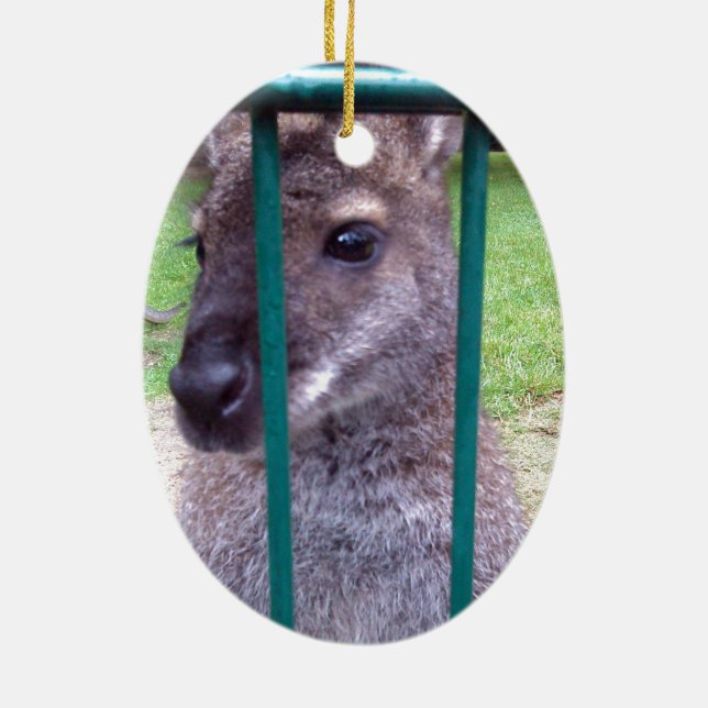 Kangaroo behind bars ceramic ornament (Back)