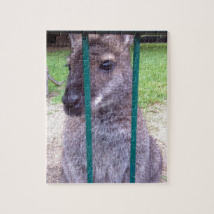 Kangaroo behind bars jigsaw puzzle