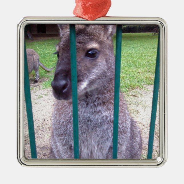Kangaroo behind bars metal tree decoration (Front)