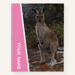 Kangaroo Cute Baby Joey Photo, Australia, Pink Notebook