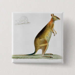 Kangaroo, engraved by Coutant 15 Cm Square Badge