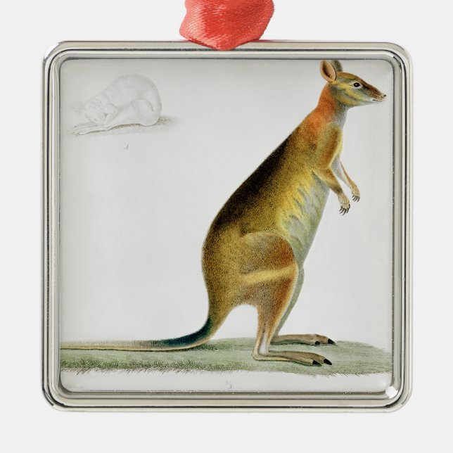 Kangaroo, engraved by Coutant Metal Tree Decoration (Front)