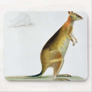 Kangaroo, engraved by Coutant Mouse Pad