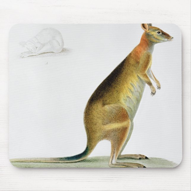 Kangaroo, engraved by Coutant Mouse Pad (Front)