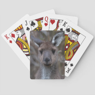 Kangaroo Face Playing Cards