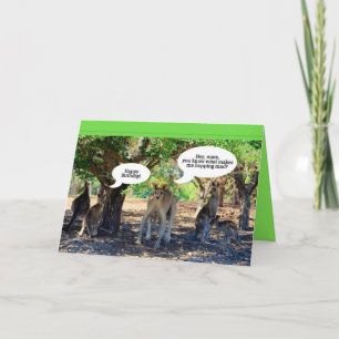 Kangaroo Family Happy Birthday Humour Card