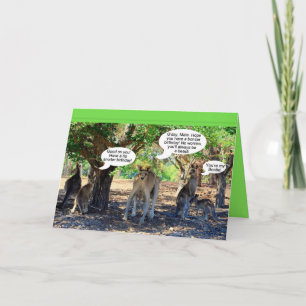 Kangaroo Family Happy Birthday Humour Card
