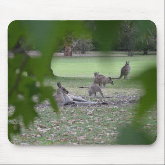 kangaroo family mouse pad