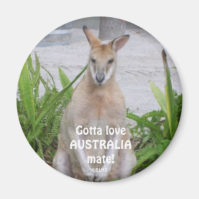 Kangaroo Gotta loveAUSTRALIAmate!, ©BLHS Magnet (Front)