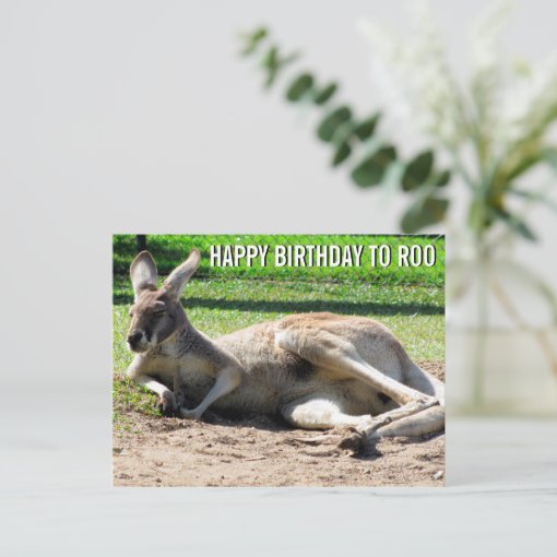 Kangaroo Happy Birthday to Roo Postcard | Zazzle