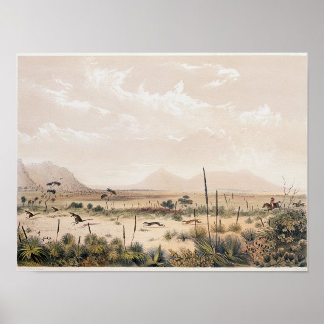 Kangaroo Hunt Poster (Front)