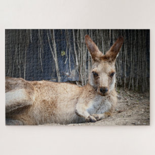 Kangaroo Jigsaw Puzzle