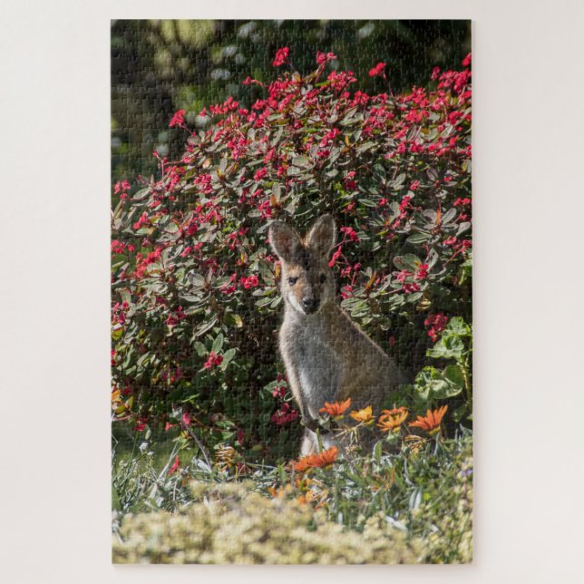 Kangaroo Jigsaw Puzzle (Vertical)