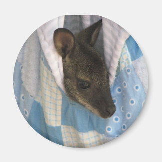 Kangaroo Magnet