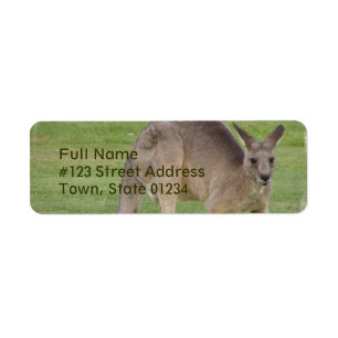 Kangaroo Mailing Label Return Address Label