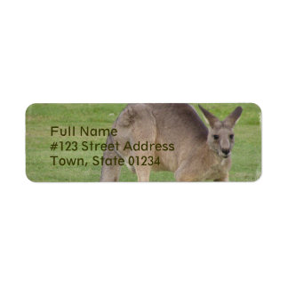 Kangaroo Mailing Label Return Address Label