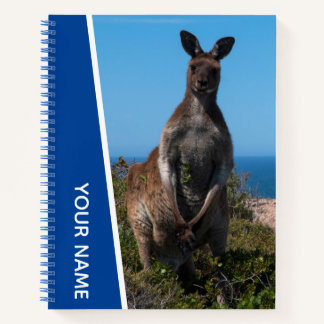 Kangaroo Male in Australia, Custom Blue Notebook
