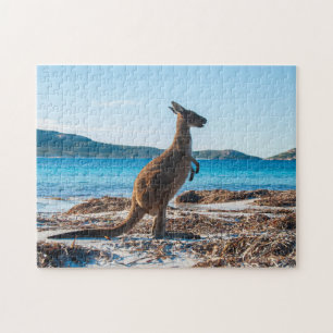 Kangaroo on the Beach in Lucky Bay, 252 pieces Jigsaw Puzzle