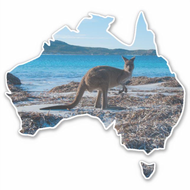 Kangaroo on the Beach Lucky Bay Australia (Front)