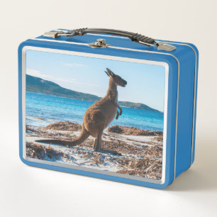 Kangaroo on the beach Lucky Bay Australia Metal Lunch Box