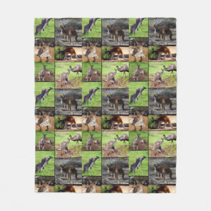 Kangaroo Photo Collage , Fleece Blanket