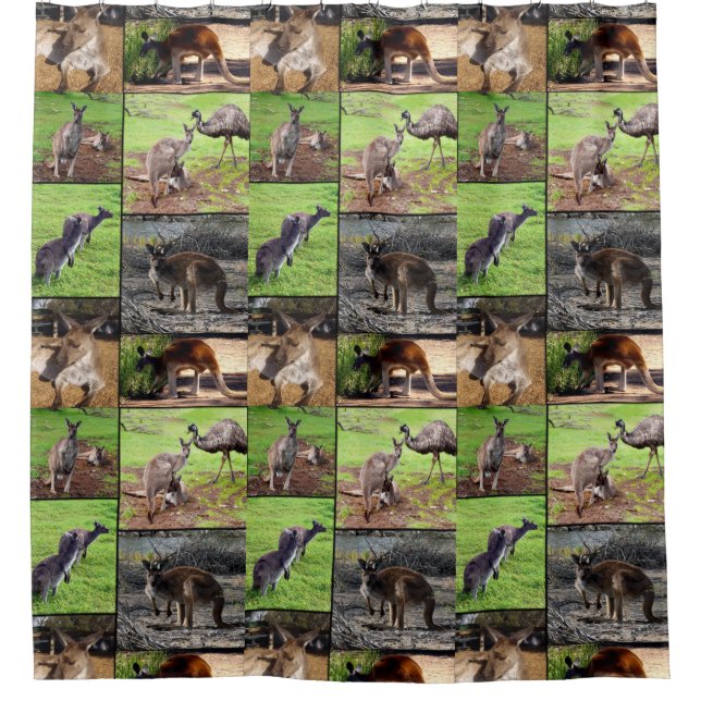 Kangaroo Photo Collage, Shower Curtain. Curtain (Front)