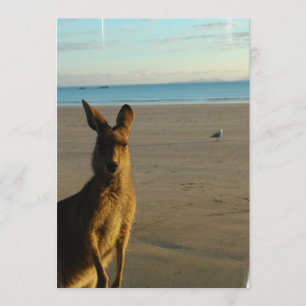 Kangaroo Photo Invitation