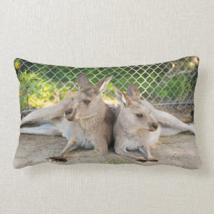Kangaroo pillow