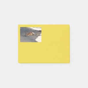Kangaroo post it notes