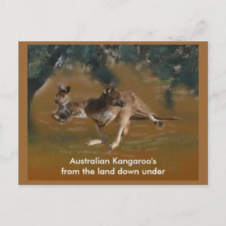 Kangaroo Postcard