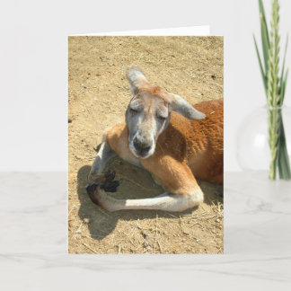 kangaroo praying card