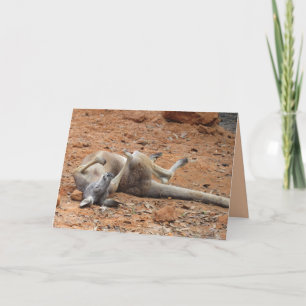 Kangaroo Rolling / Playing in the Dirt Card