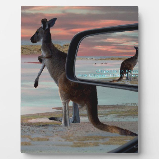 Kangaroo Sea Breezes Illusion Art, Plaque (Front)
