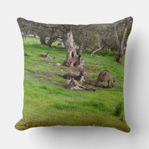 Kangaroo Siesta, Large Throw Cushion. Cushion