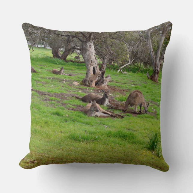 Kangaroo Siesta, Large Throw Cushion. Cushion (Front)