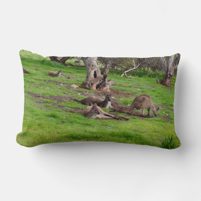 Kangaroo Siesta, Lumbar Cushion. Cushion (Front)