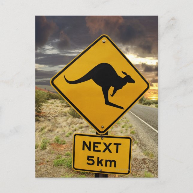 Kangaroo sign, Australia Postcard (Front)