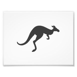 kangaroo silhouette - Choose background colour Photo Print