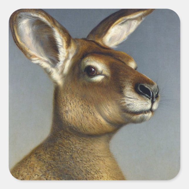 Kangaroo Square Sticker (Front)