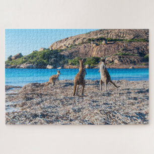 Kangaroo standoff on the beach, 1014 pieces jigsaw puzzle